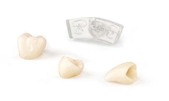Various implant prosthetics