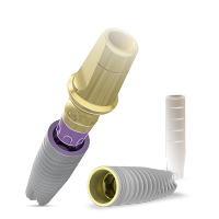 Het productaanbod van MIS Implants