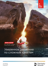 GuttaCore Brochure preview image