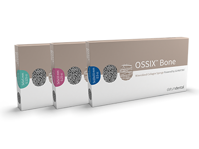Ossix Bone